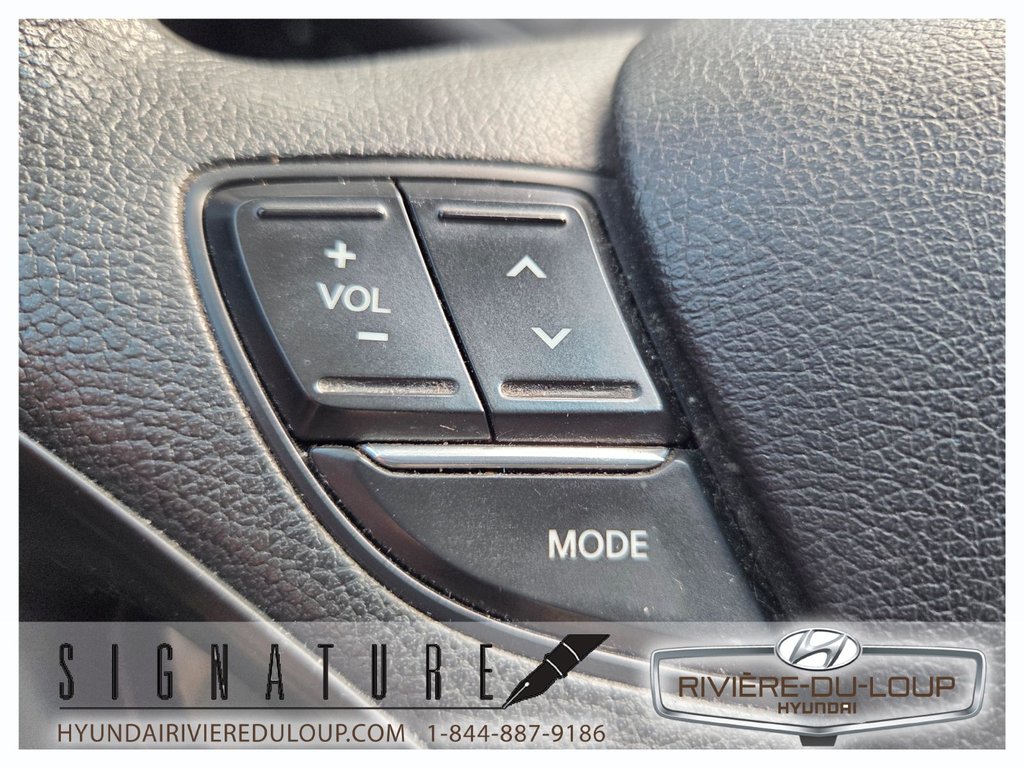 Hyundai Sonata LIMITED 2013 à Riviere-Du-Loup, Québec - 20 - w1024h768px