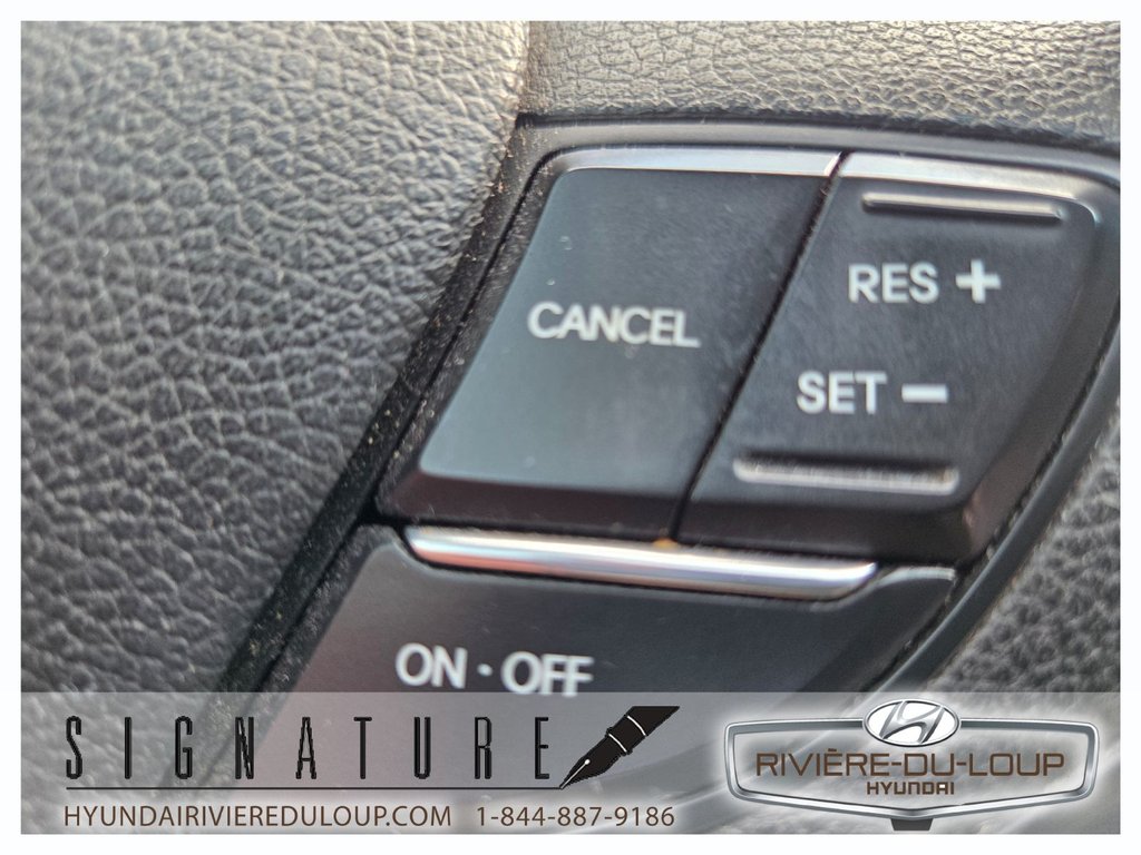 Hyundai Sonata LIMITED 2013 à Riviere-Du-Loup, Québec - 21 - w1024h768px