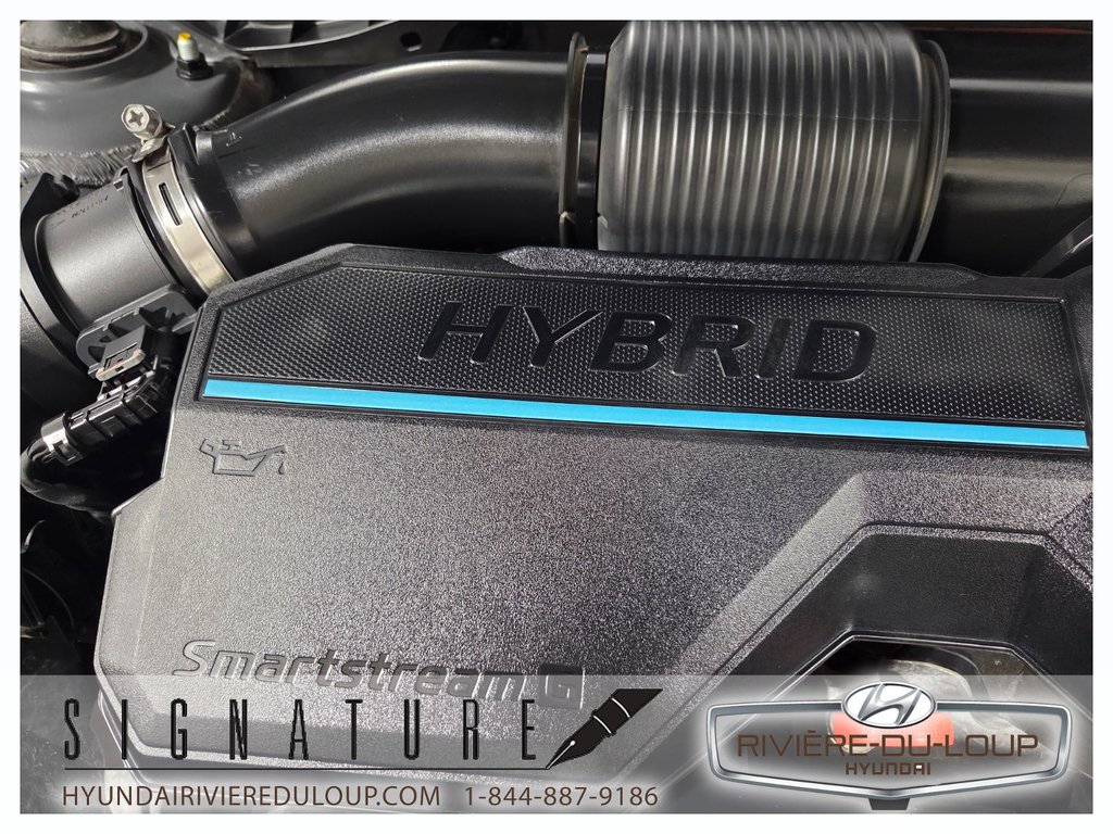 2024 Hyundai Tucson Hybrid N-LINE,AWD,CUIR,TOIT,MAGS in Riviere-Du-Loup, Quebec - 32 - w1024h768px