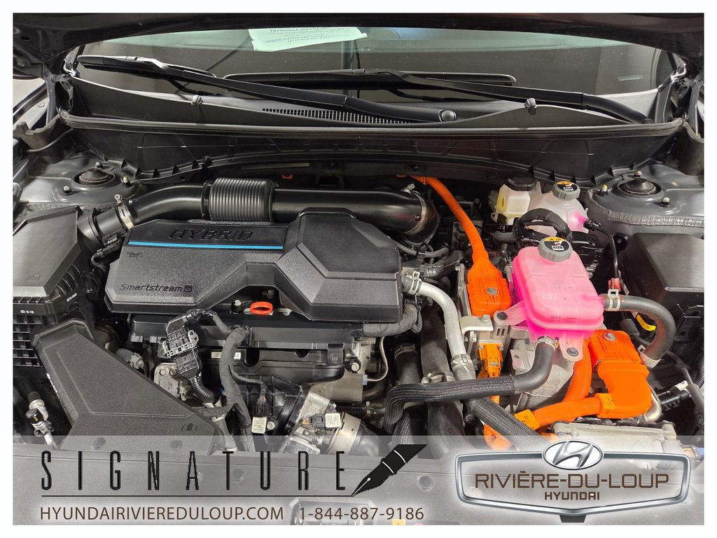 2024 Hyundai Tucson Hybrid N-LINE,AWD,CUIR,TOIT,MAGS in Riviere-Du-Loup, Quebec - 33 - w1024h768px