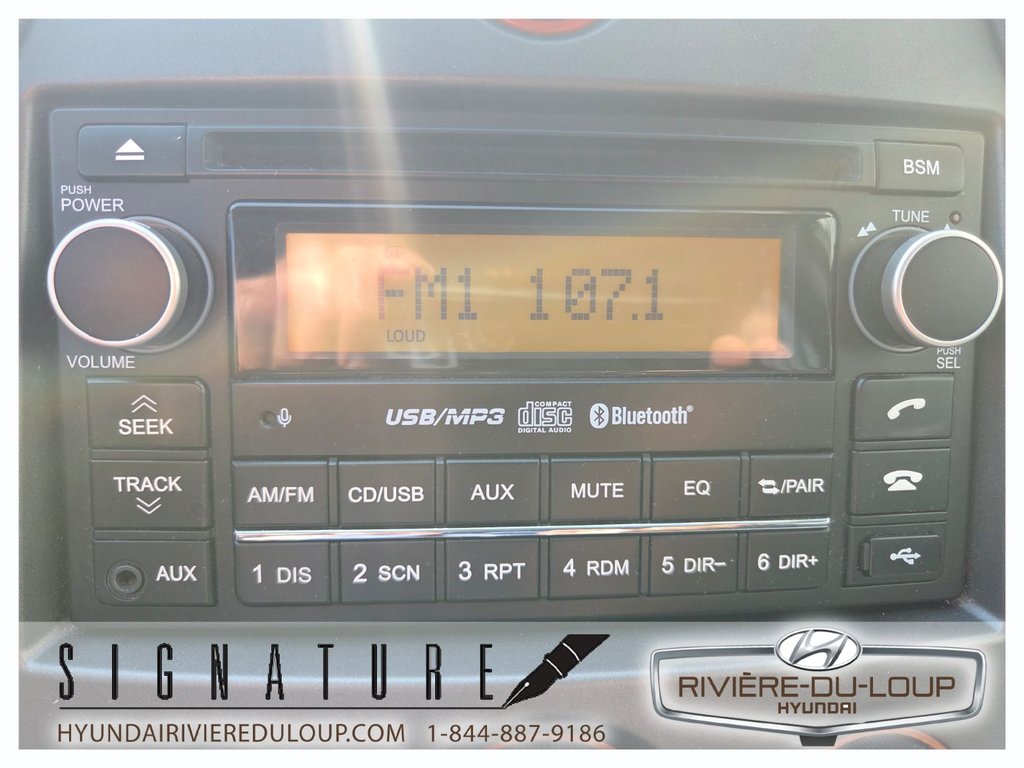 2011 Kia Rondo EX PREMIUM in Riviere-Du-Loup, Quebec - 16 - w1024h768px