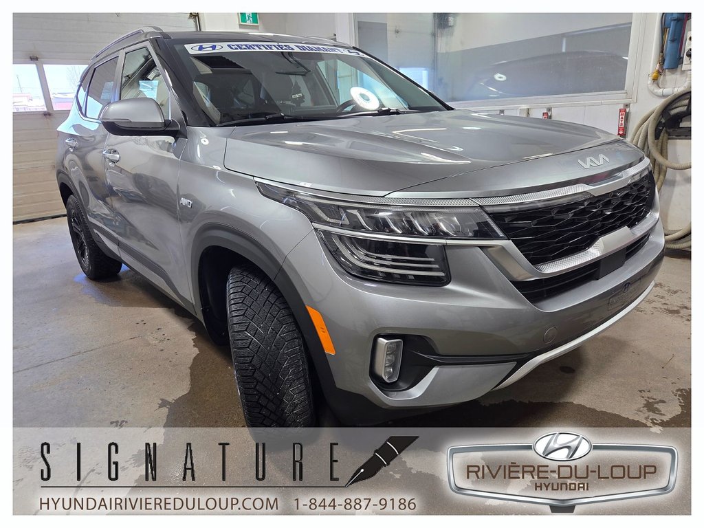 2023 Kia Seltos SX TURBO,AWD,INTERIEUR BOURGOGNE in Riviere-Du-Loup, Quebec - 4 - w1024h768px