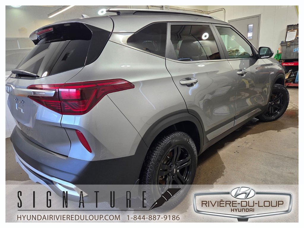 2023 Kia Seltos SX TURBO,AWD,INTERIEUR BOURGOGNE in Riviere-Du-Loup, Quebec - 5 - w1024h768px