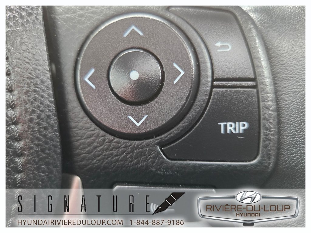 2018 Toyota RAV4 XLE,AWD,MAGS,TOIT,SIEGES CHAUFFANT in Riviere-Du-Loup, Quebec - 25 - w1024h768px