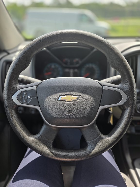 2016 Chevrolet Colorado 4WD WT in Cowansville, Quebec - 18 - w1024h768px