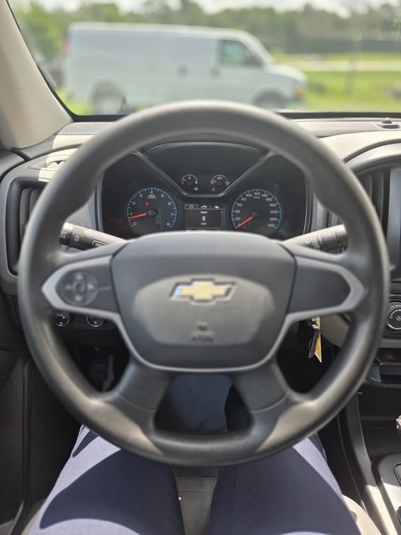 2016 Chevrolet Colorado 4WD WT in Cowansville, Quebec - 19 - w1024h768px