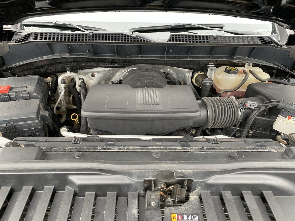 2019 Chevrolet Silverado 1500 Custom Trail Boss | 4WD | V8 | Cruise | Cam in Saint John, New Brunswick - 37 - w1024h768px