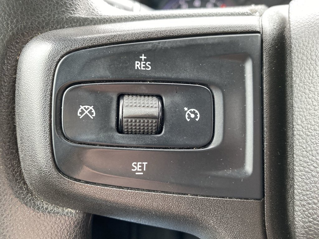 2019 Chevrolet Silverado 1500 Custom Trail Boss | 4WD | V8 | Cruise | Cam in Saint John, New Brunswick - 17 - w1024h768px