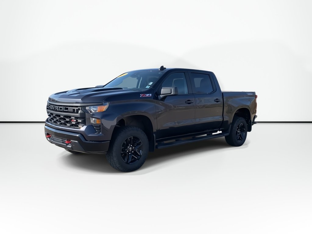 2022 Chevrolet SILVERADO 1500 Custom Trail Boss | 4WD | V8 | Cruise | Cam in Saint John, New Brunswick - 4 - w1024h768px