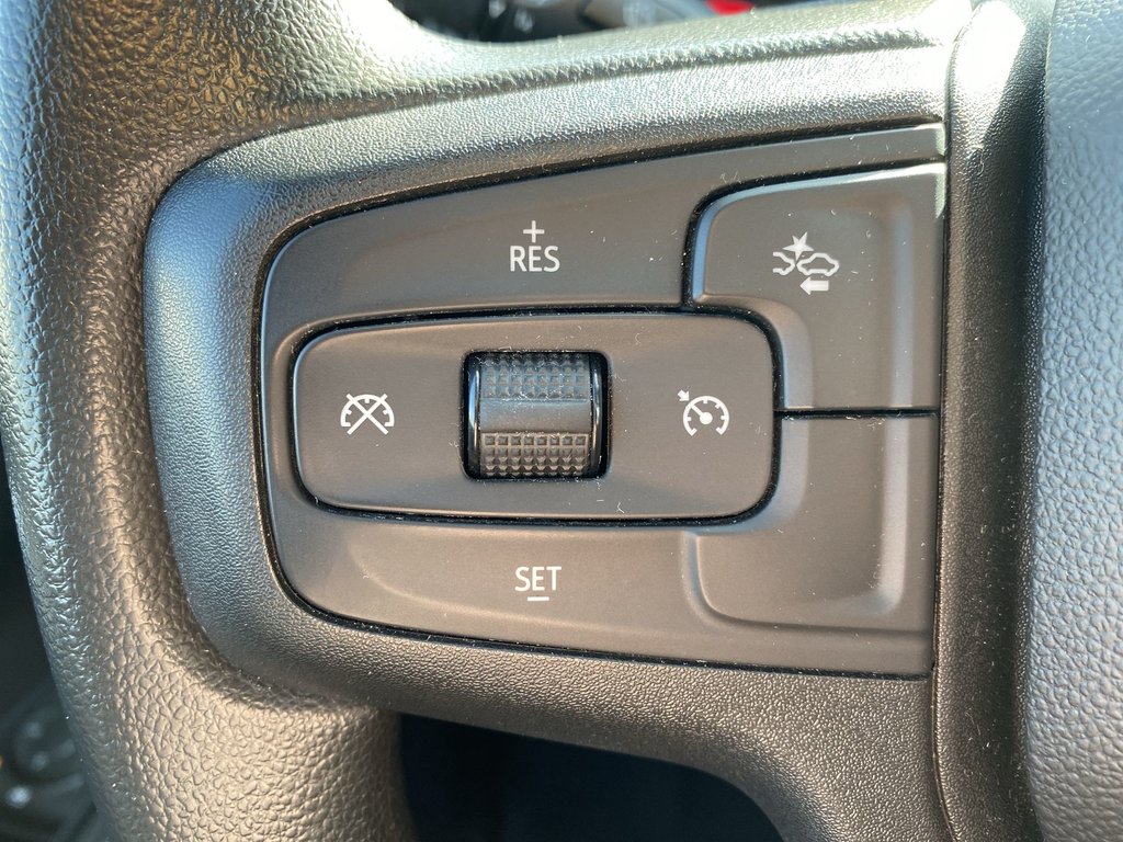 2022 Chevrolet SILVERADO 1500 Custom Trail Boss | 4WD | V8 | Cruise | Cam in Saint John, New Brunswick - 17 - w1024h768px