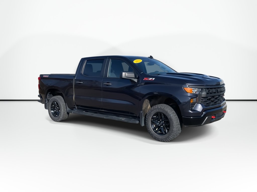2022 Chevrolet SILVERADO 1500 Custom Trail Boss | 4WD | V8 | Cruise | Cam in Saint John, New Brunswick - 2 - w1024h768px