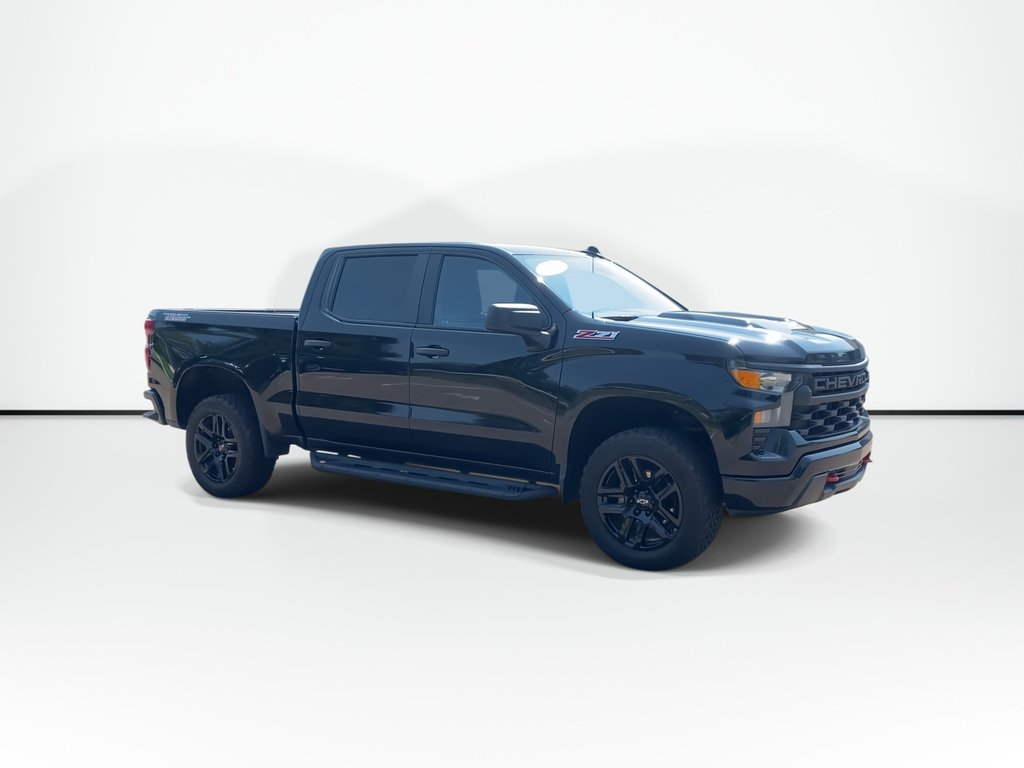 2023 Chevrolet SILVERADO 1500 in Antigonish, Nova Scotia - 8 - w1024h768px