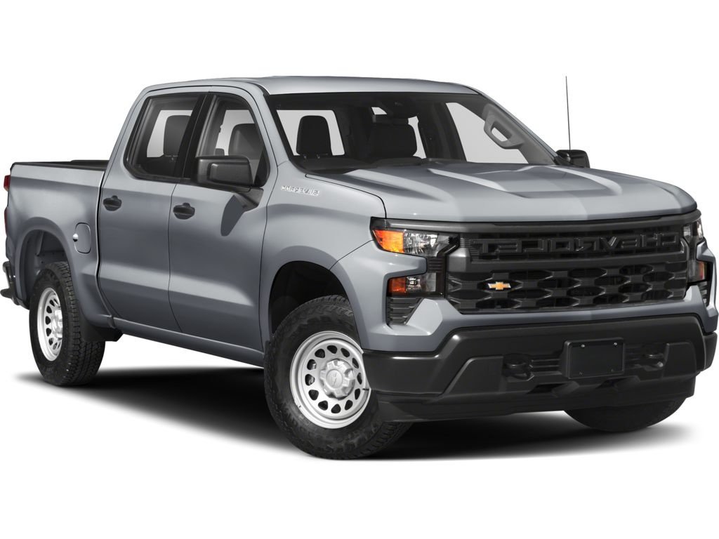 2024 Chevrolet Silverado 1500 Custom Trail Boss | DIESEL | XM | Warranty to 2029 in Saint John, New Brunswick - 1 - w1024h768px