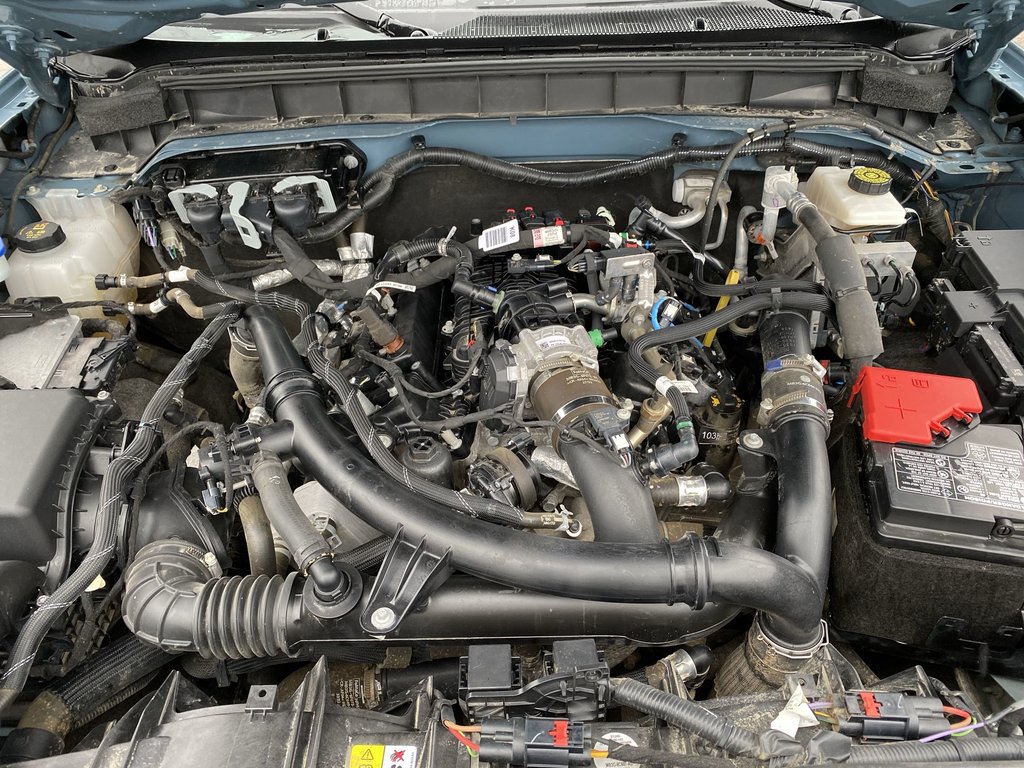 2023 Ford BRONCO BASE |360Cam | USB | Warranty to 2028 in Saint John, New Brunswick - 38 - w1024h768px