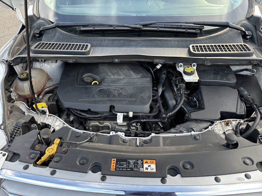 2018 Ford Escape SE | Cam | USB | Bluetooth | HtdSeats | Cruise in Saint John, New Brunswick - 36 - w1024h768px