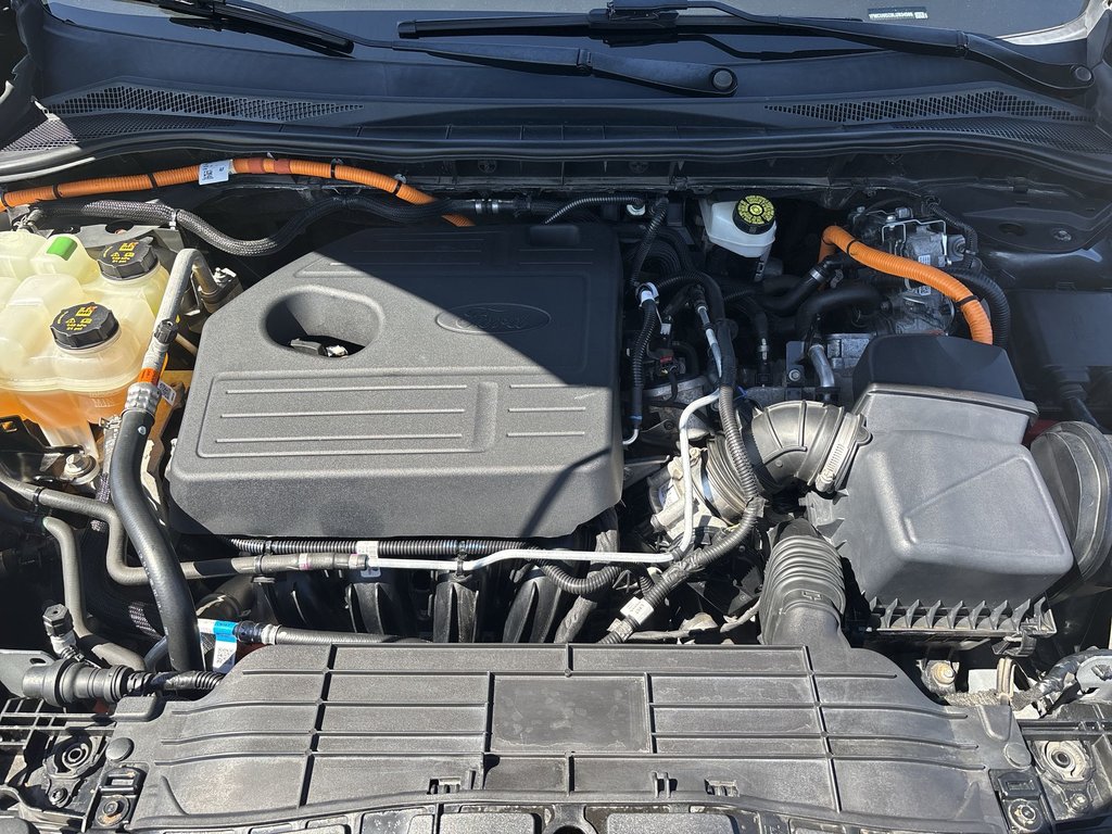 2020 Ford ESCAPE Titanium Hybrid | Leather | Nav | Cam | USB | in Saint John, New Brunswick - 36 - w1024h768px