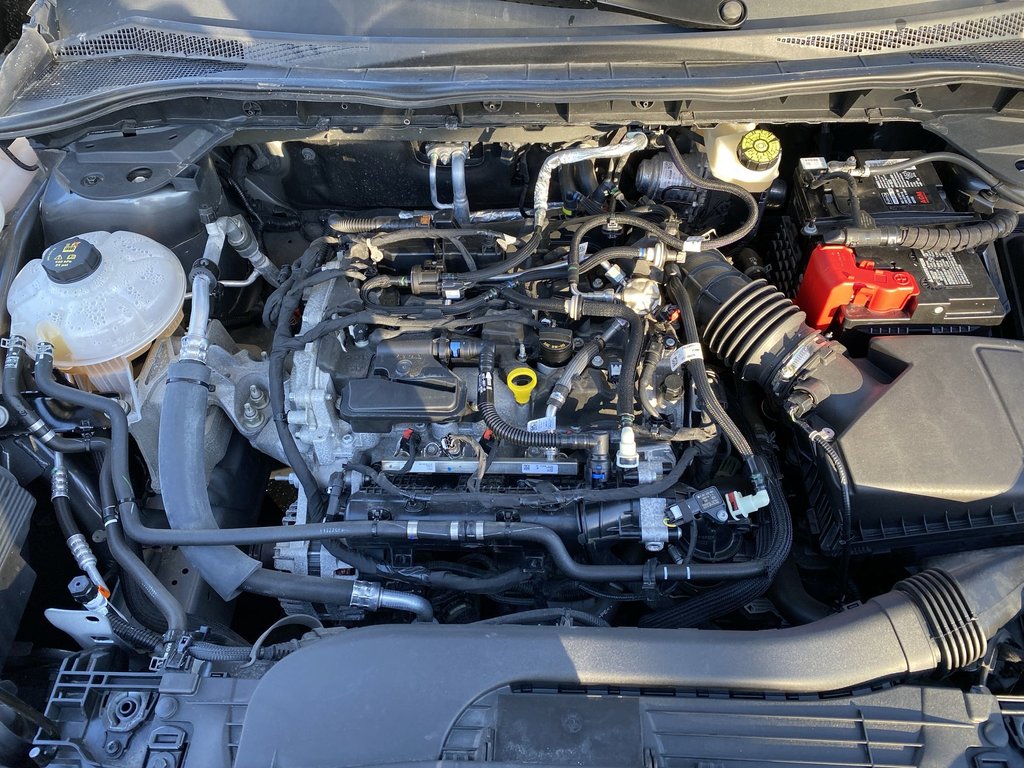 2022 Ford ESCAPE SE | Cam | Co-Pilot360™| USB | Bluetooth | Keyless in Saint John, New Brunswick - 37 - w1024h768px