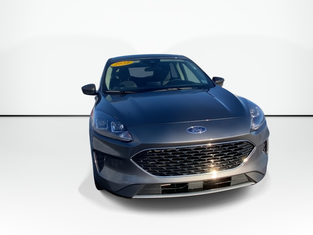 2022 Ford ESCAPE SE | Cam | Co-Pilot360™| USB | Bluetooth | Keyless in Saint John, New Brunswick - 3 - w1024h768px