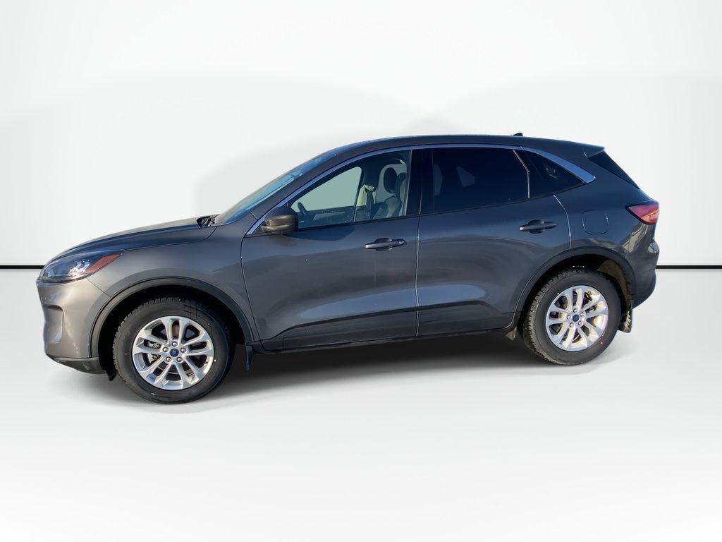 2022 Ford ESCAPE SE | Cam | Co-Pilot360™| USB | Bluetooth | Keyless in Saint John, New Brunswick - 5 - w1024h768px