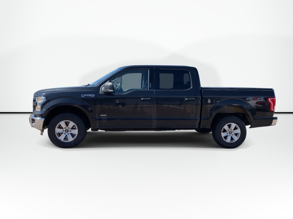 2015 Ford F-150 XLT | A/C | Cruise | Cam | 4WD in Saint John, New Brunswick - 5 - w1024h768px