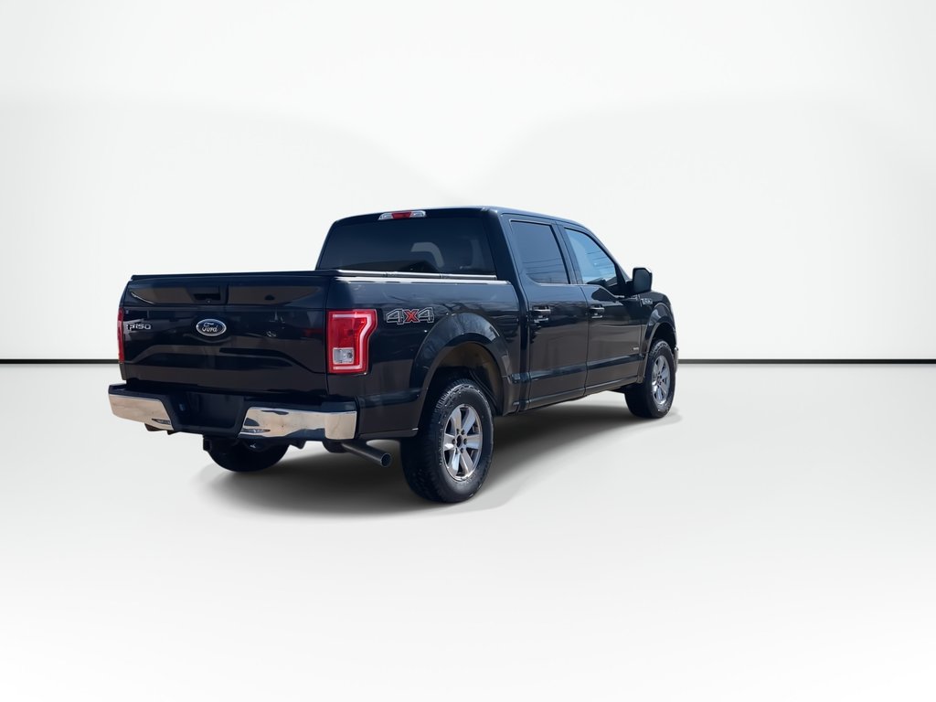 2015 Ford F-150 XLT | A/C | Cruise | Cam | 4WD in Saint John, New Brunswick - 8 - w1024h768px