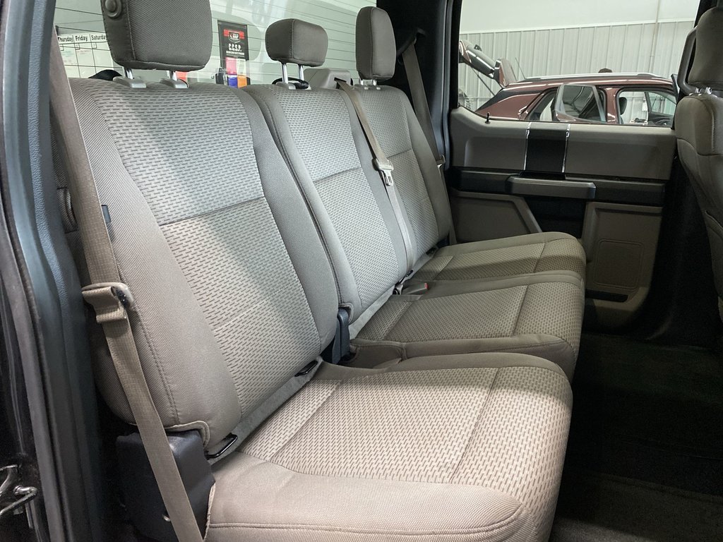 2015 Ford F-150 XLT | A/C | Cruise | Cam | 4WD in Saint John, New Brunswick - 31 - w1024h768px