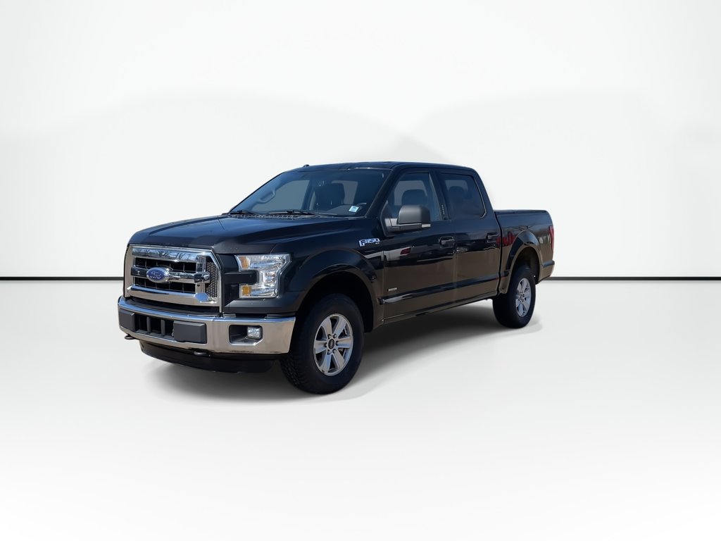 2015 Ford F-150 XLT | A/C | Cruise | Cam | 4WD in Saint John, New Brunswick - 4 - w1024h768px