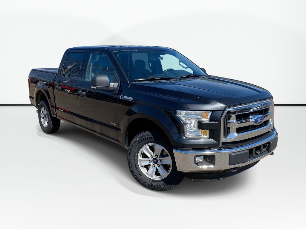 2015 Ford F-150 XLT | A/C | Cruise | Cam | 4WD in Saint John, New Brunswick - 1 - w1024h768px
