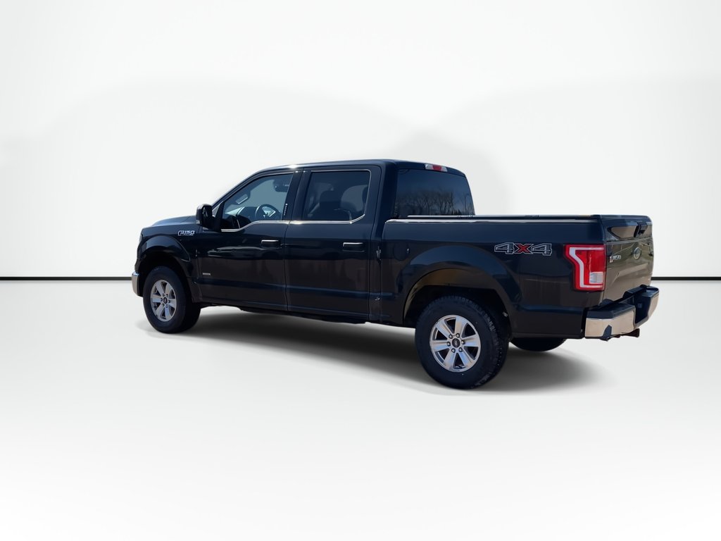 2015 Ford F-150 XLT | A/C | Cruise | Cam | 4WD in Saint John, New Brunswick - 6 - w1024h768px