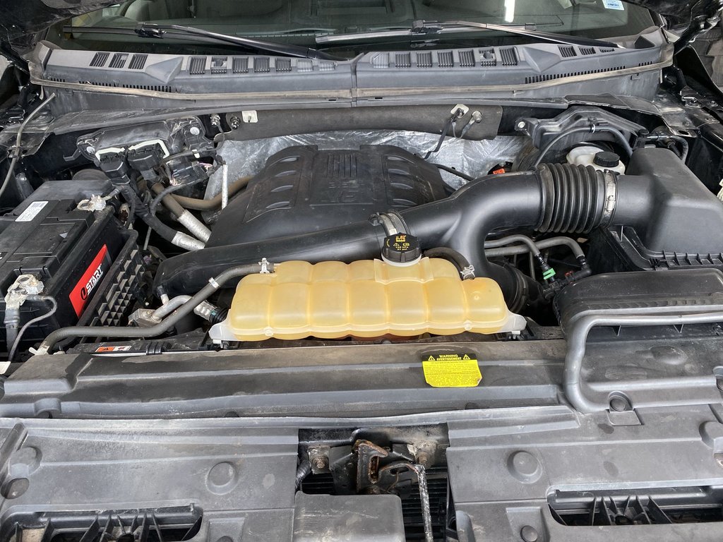 2015 Ford F-150 XLT | A/C | Cruise | Cam | 4WD in Saint John, New Brunswick - 37 - w1024h768px