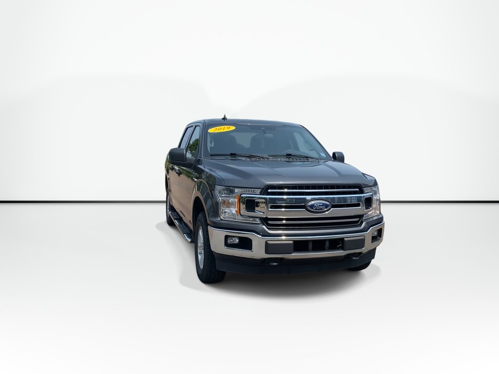 2019 Ford F-150 XLT in Saint John, New Brunswick - 3 - w1024h768px