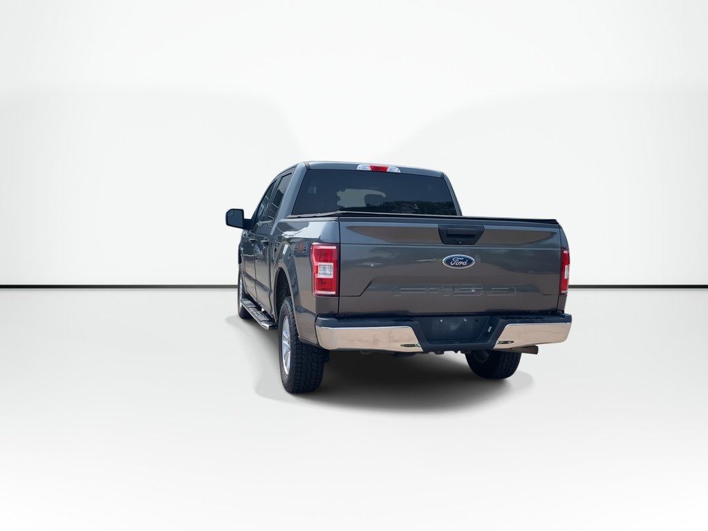 2019 Ford F-150 XLT in Saint John, New Brunswick - 7 - w1024h768px