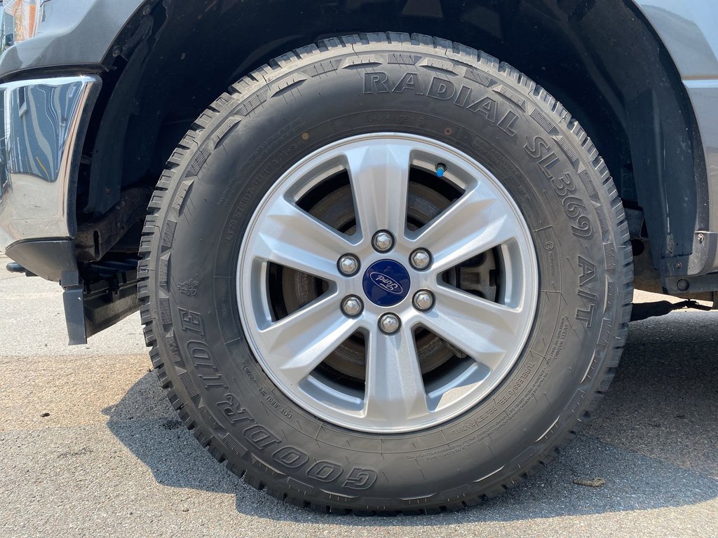2019 Ford F-150 XLT in Saint John, New Brunswick - 10 - w1024h768px