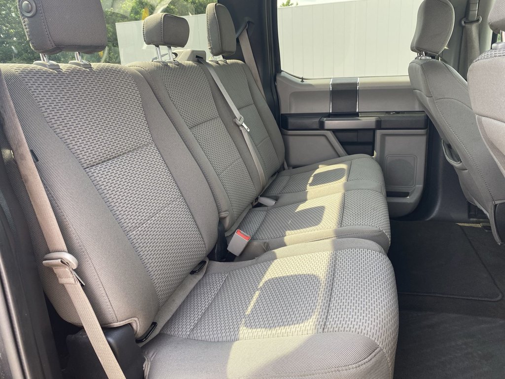 2019 Ford F-150 in Antigonish, Nova Scotia - 31 - w1024h768px