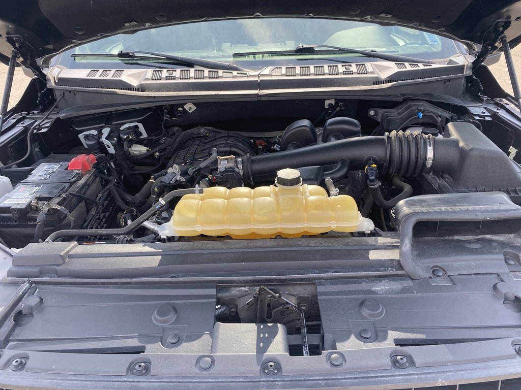2019 Ford F-150 in Antigonish, Nova Scotia - 37 - w1024h768px