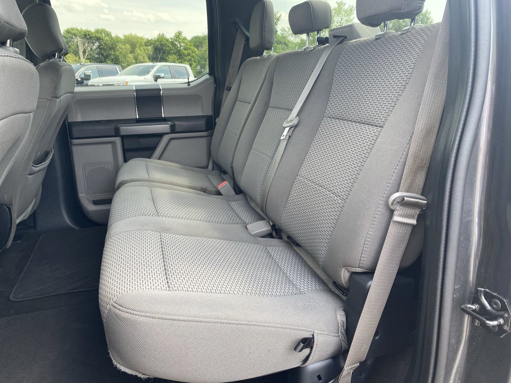 2019 Ford F-150 in Antigonish, Nova Scotia - 27 - w1024h768px