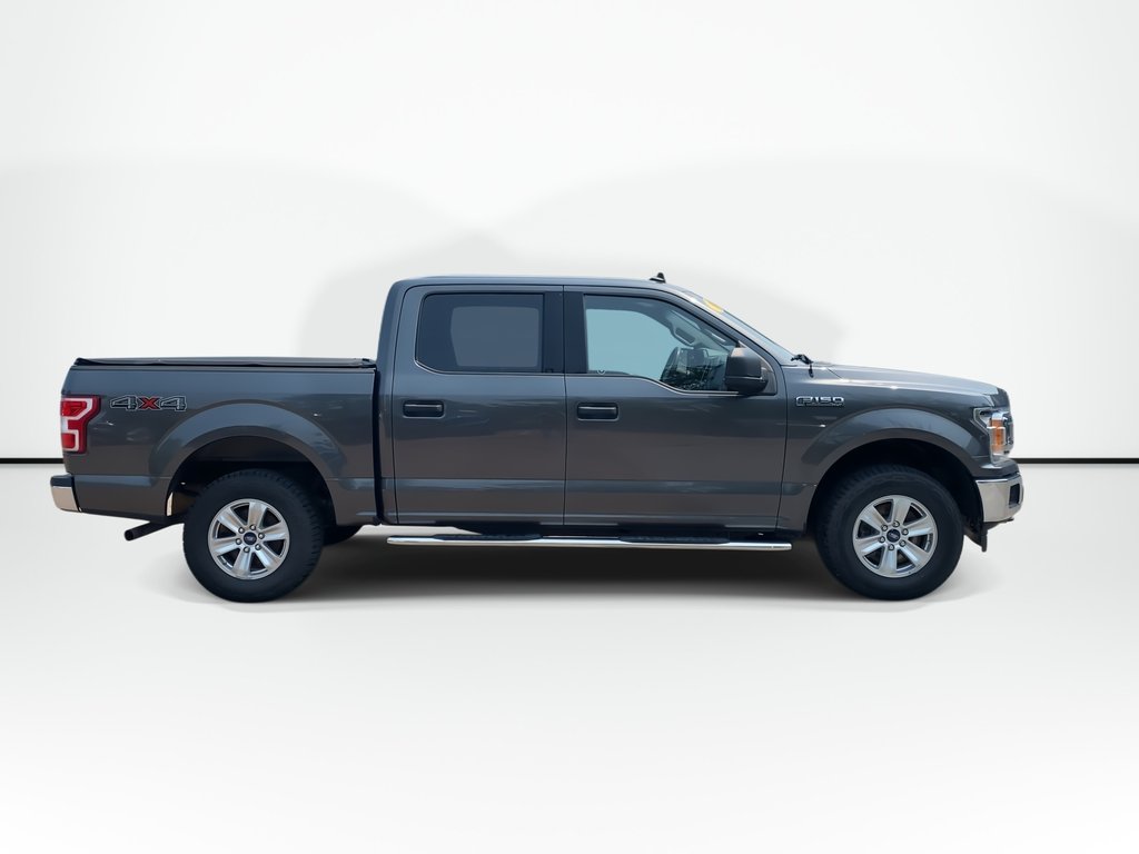 2019 Ford F-150 XLT in Saint John, New Brunswick - 9 - w1024h768px