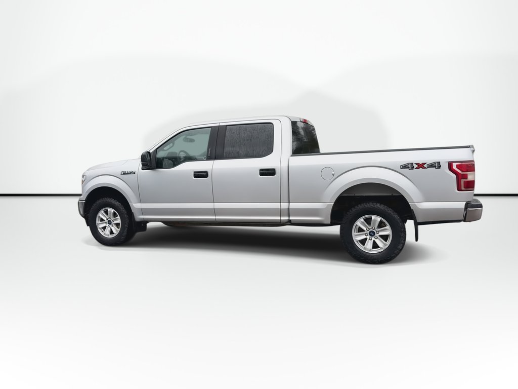 2019 Ford F-150 XL in Saint John, New Brunswick - 6 - w1024h768px