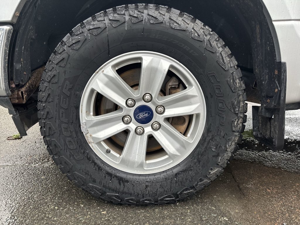 2019 Ford F-150 XL in Saint John, New Brunswick - 10 - w1024h768px