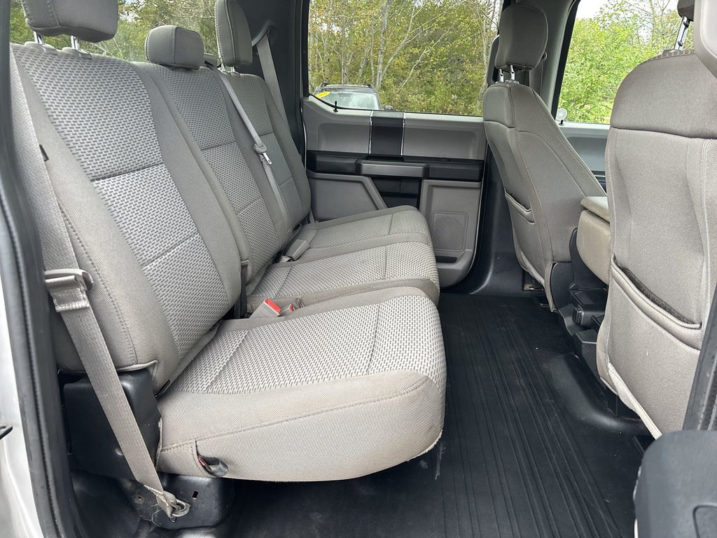2019 Ford F-150 in Antigonish, Nova Scotia - 31 - w1024h768px