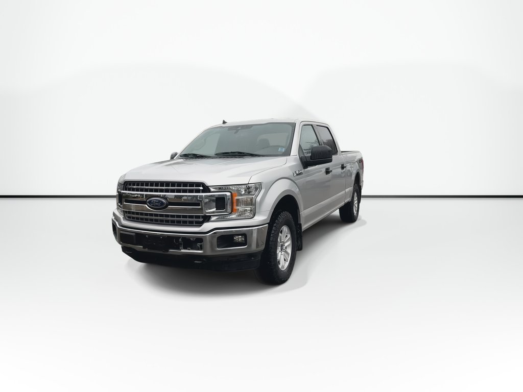 2019 Ford F-150 XL in Saint John, New Brunswick - 4 - w1024h768px