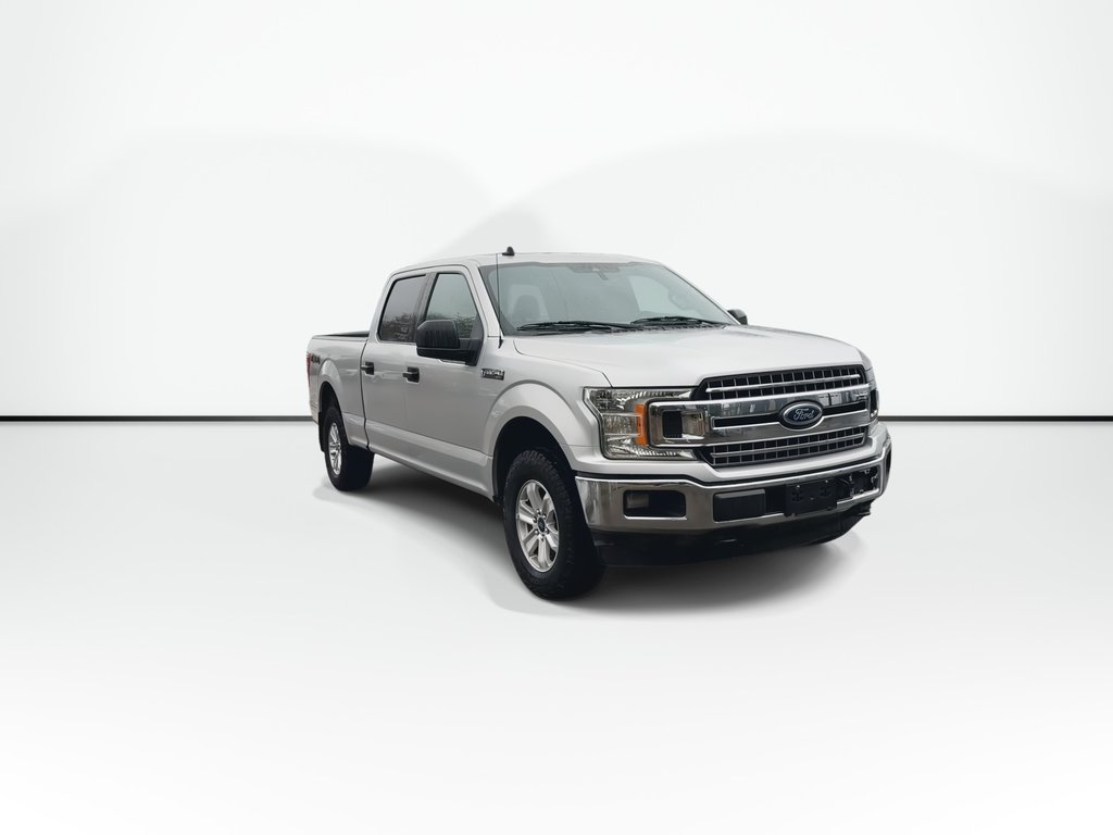 2019 Ford F-150 XL in Saint John, New Brunswick - 3 - w1024h768px