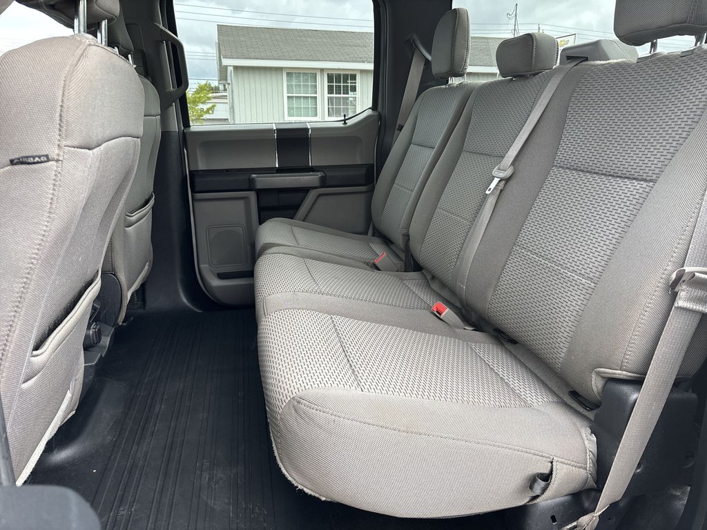 2019 Ford F-150 in Antigonish, Nova Scotia - 27 - w1024h768px