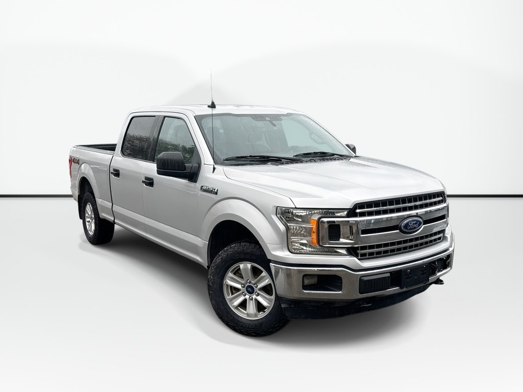 2019 Ford F-150 XL in Saint John, New Brunswick - 1 - w1024h768px
