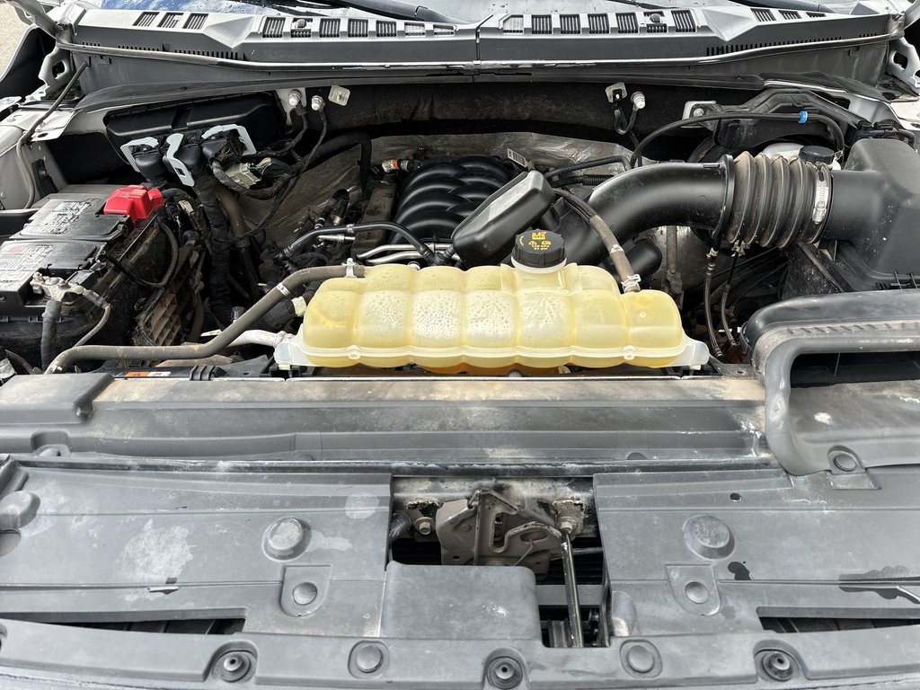 2019 Ford F-150 in Antigonish, Nova Scotia - 37 - w1024h768px