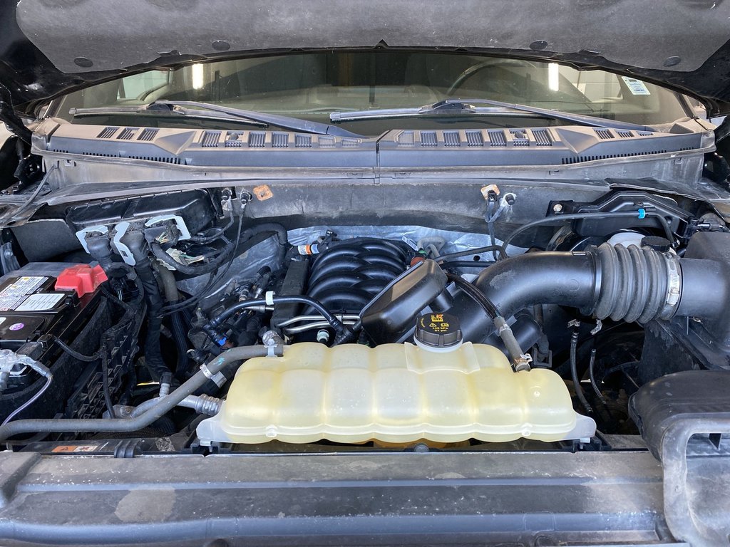 2020 Ford F-150 XLT | Cruise | Cam | V8 | 4WD in Saint John, New Brunswick - 37 - w1024h768px