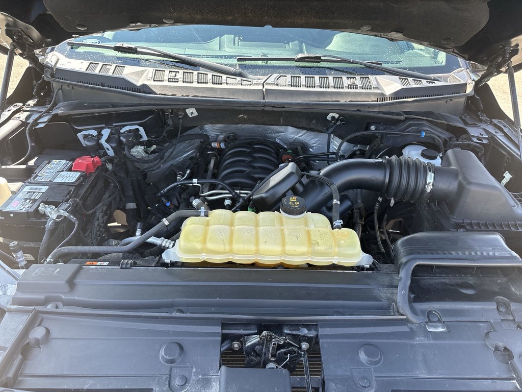2020 Ford F-150 XLT | Cam | USB | Bluetooth | Cruise in Saint John, New Brunswick - 37 - w1024h768px