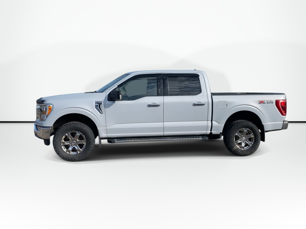 2021 Ford F-150 XLT | 4WD | Cam | Cruise | Bluetooth in Saint John, New Brunswick - 5 - w1024h768px