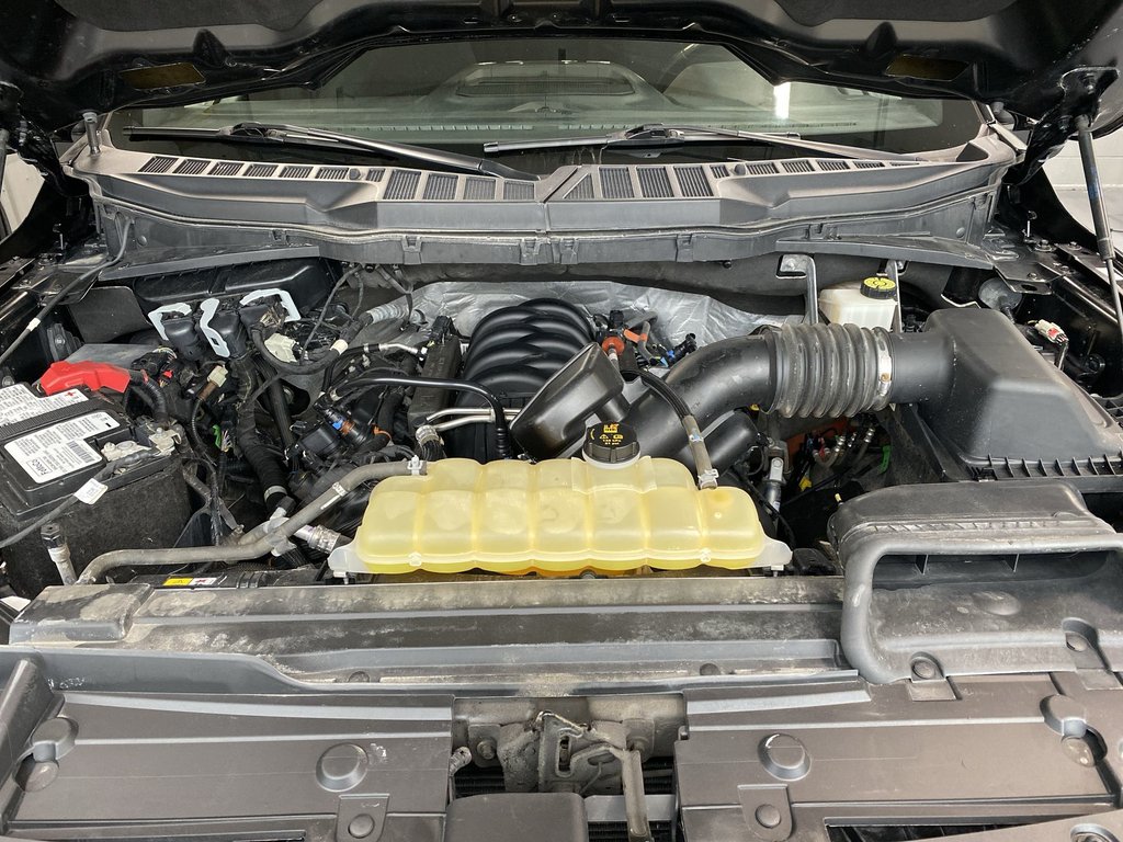 2021 Ford F-150 UNKNOWN in Saint John, New Brunswick - 37 - w1024h768px