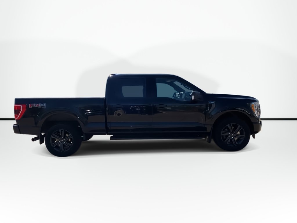 2021 Ford F-150 UNKNOWN in Saint John, New Brunswick - 9 - w1024h768px
